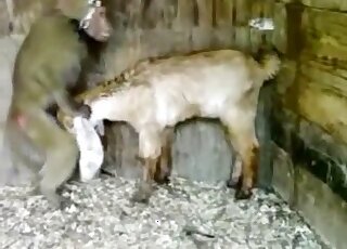 Sperm bestiality tube