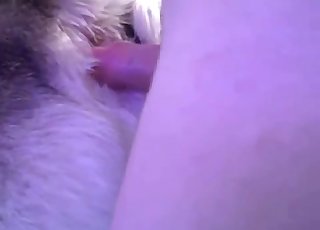 Sexy doggy impaled hard from behind