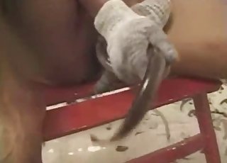 JAV entertainment for every kinky fan of bestiality