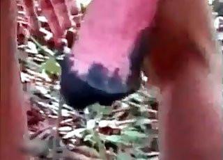Bestiality happening in the jungle