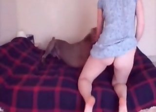 Glorious bestiality on a bed