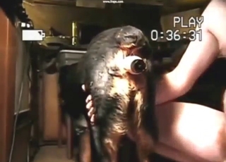 Awesome porn movie with a dog that wants gape