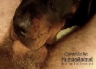 Hairy