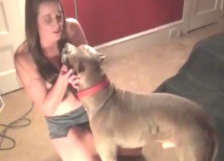 Horny stepmother is going to fuck a grey dog