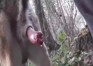 Dude's hot ass gets fucked by a sexy beast