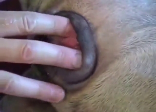 Vagina