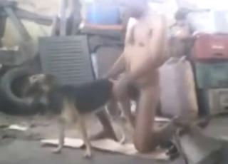 Dog fuck scenes here are all so passionate