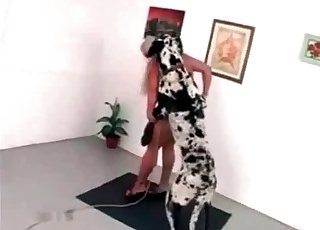 Nice dog loves dirty bestiality on cam