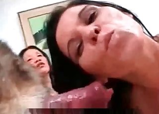 Juicy babes are going mad about this hound