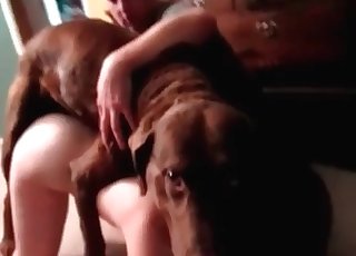 British doggy is enjoying bestial sex