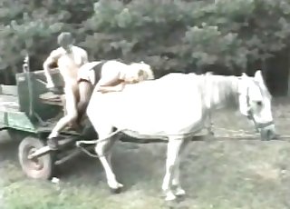Bestial sex movie with a nice stallion